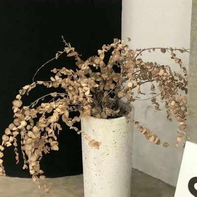 兽设天空场景绘制福瑞群